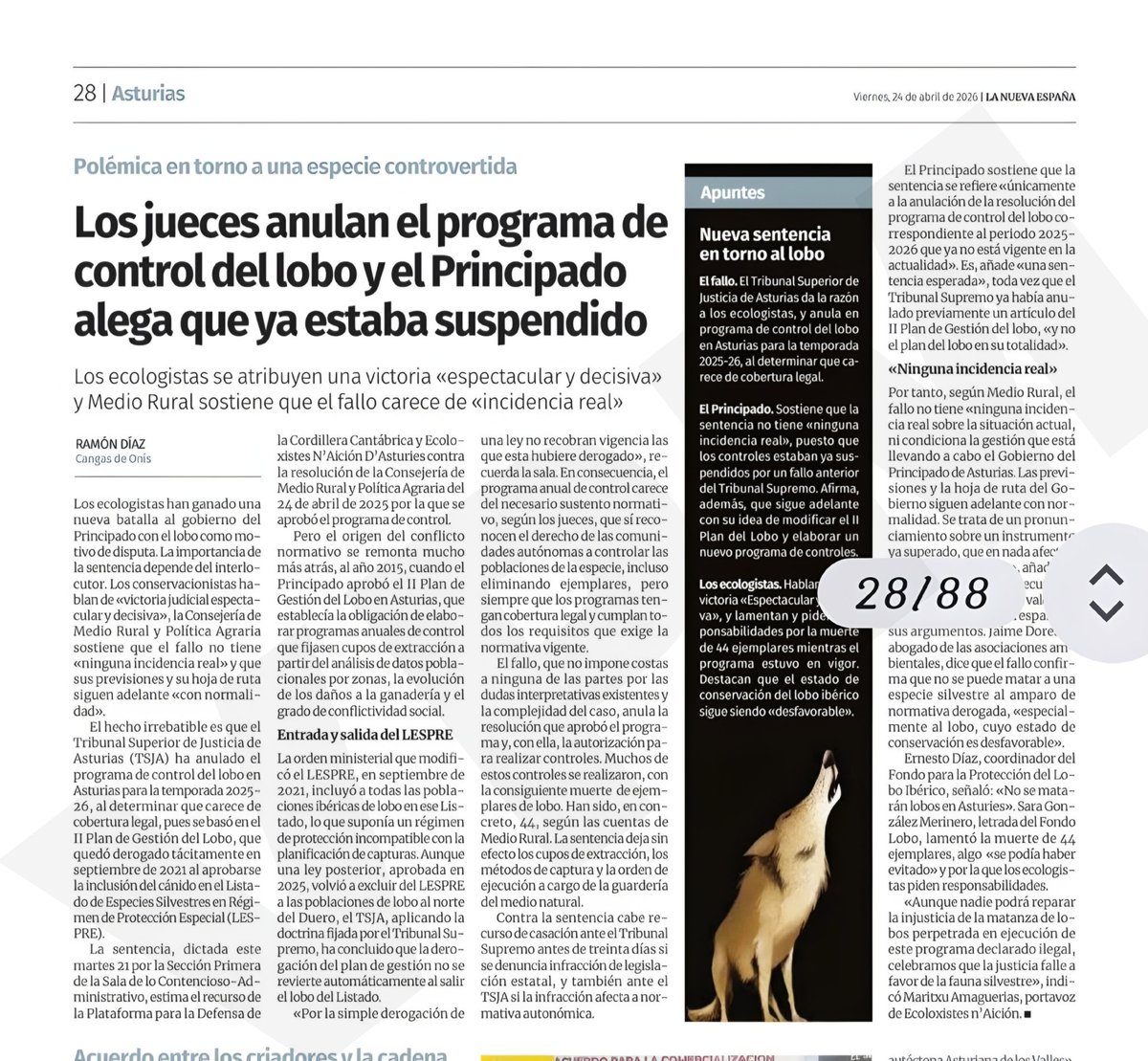 🇪🇸🐗🦌🐂🇪🇸 tweet media