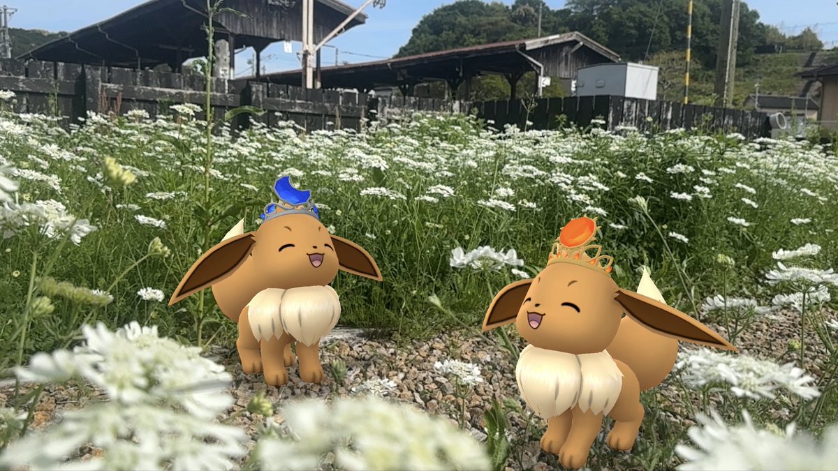 sakikunishiro's tweet image. 駅近くに花畑キレーーーーーー！！
#ポケモンGO #GOsnapshot #NianticAR #GOsnapshotCelebration