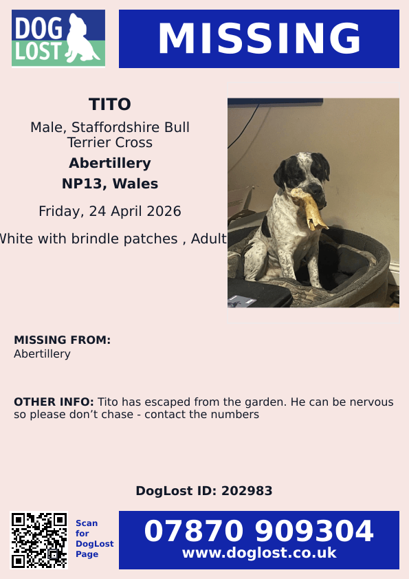 MissingPetsGB's tweet photo. Tito is still missing in #Abertillery. Please report any sightings on the below number. Owners are out looking for him in the local area and can respond to sightings asap
PLEASE SHARE AND HELP GET TITO HOME https://t.co/ODe5plutEP