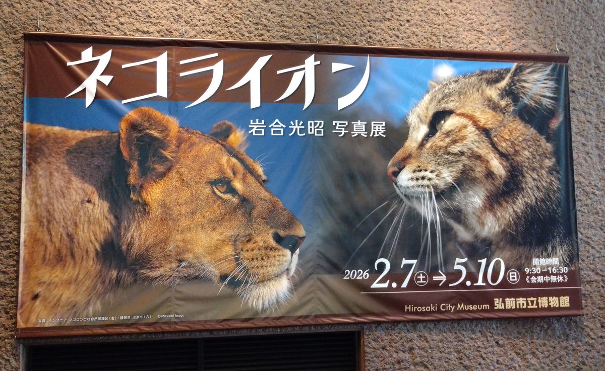 あんず tweet media