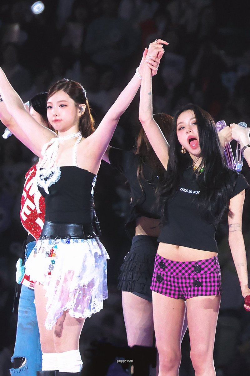 퍼피연 tweet media