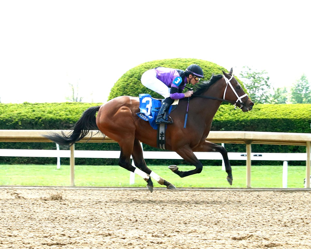 zonahipica's tweet photo. Dont´Say It 🇺🇸 (Jimmy Creed – Forever Discreet 🇦🇺 por Bernardini), corrió en la velocidad y dominó en toda la recta, para ganar, en la carrera #3 (Claiming) de @keeneland #22Abr, e hizo tiempo ⏱️ de: 1´17”59 (1300). Montó, Luan Machado y entrenó, Brad H. Cox
📸: @coadymediaUSA https://t.co/LsTZOA7cXg