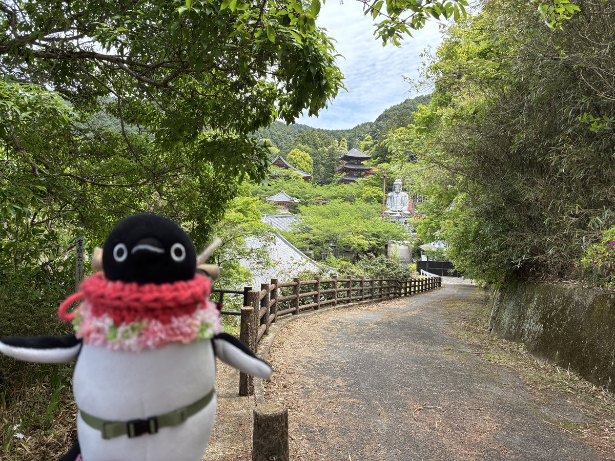 五百羅漢から飛鳥方面を。壺阪寺は桜めちゃくちゃ綺麗なんで「もう時期過ぎたしあんまり人居ないかな」と思ってたんですが結構人居ました。外人さんは何処で壺阪寺の情報を得たんだろう…