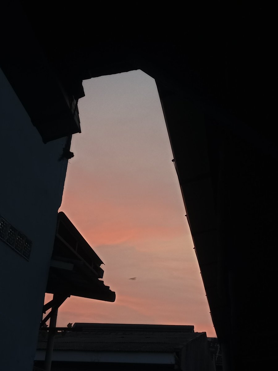 𝓐ksara tweet media