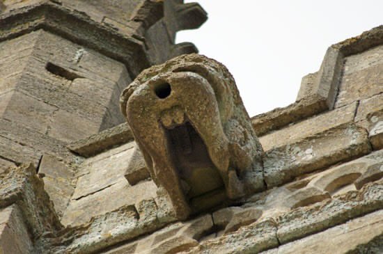 Rebel👑 tweet media