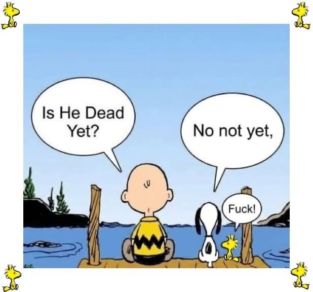 Elon Musk is NOT my Daddy tweet media