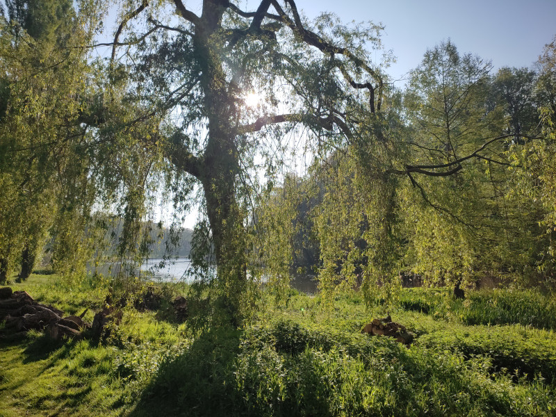 neocyclopi's tweet image. Sunday Morning @The_Life_Bomb🌱 Walk #M2E🚶🏃
⚡️45 Energies in 1h08 ⏱️
🪙 Daily Earnings: 513.62 $CATKN for Now
✅ Guardian Bonus Enabled
✅ Weekly Challenge: 50km Already Achieved
#EarthWeek2026 🌍 #FitTech