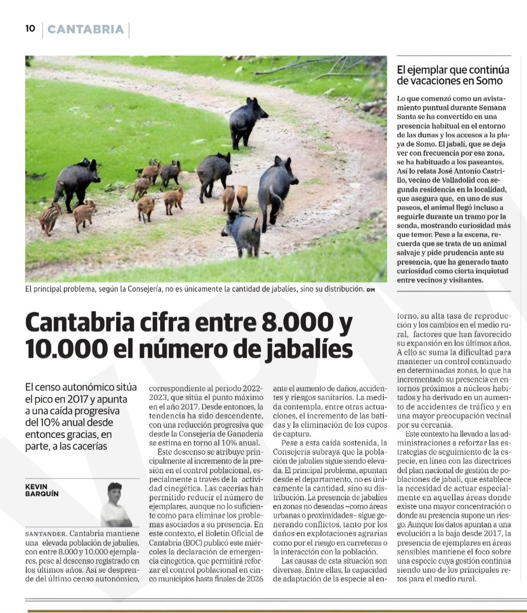 🇪🇸🐗🦌🐂🇪🇸 tweet media