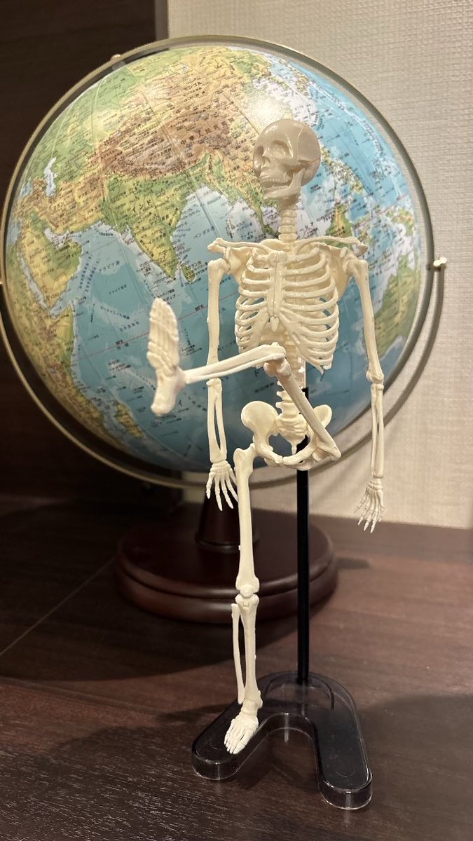 𝕟𝕪𝕠𝕣𝕠𝕣𝕠 tweet media