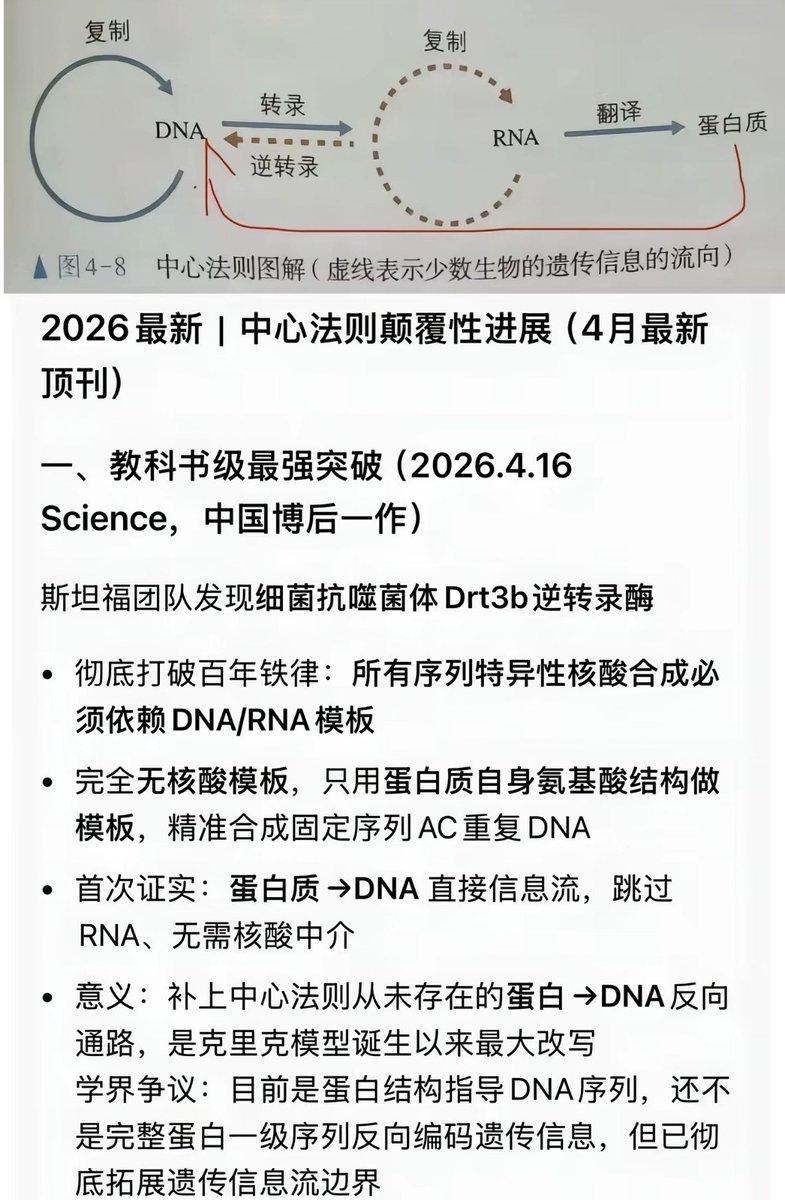 Phoenix Yin tweet media