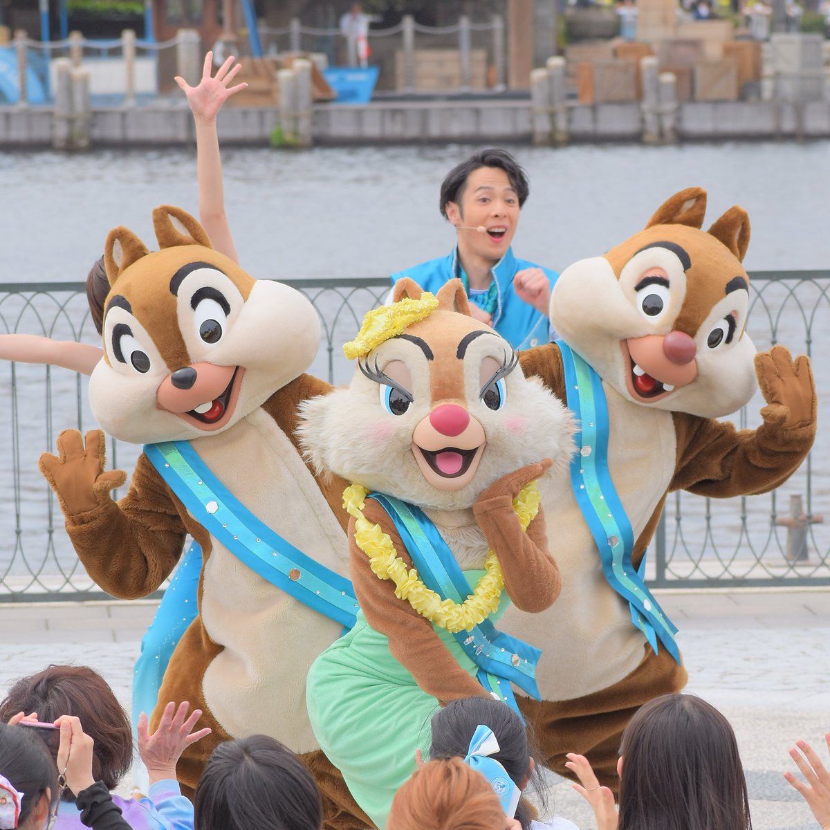 chdcl15's tweet photo. タスキチデ🐿️ https://t.co/LUiw1NuJR2