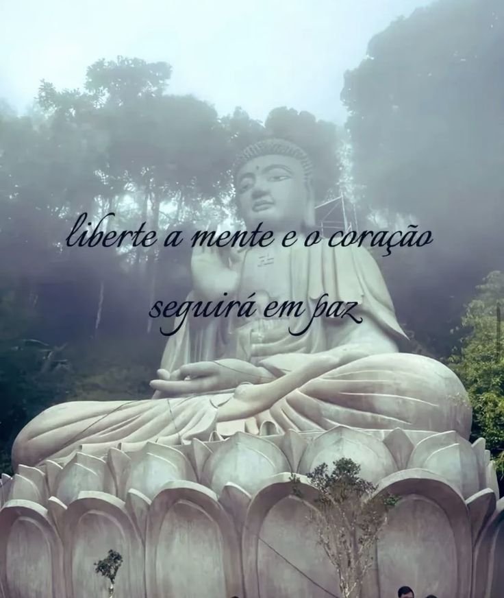 Embucetado da Silva Júnior tweet media