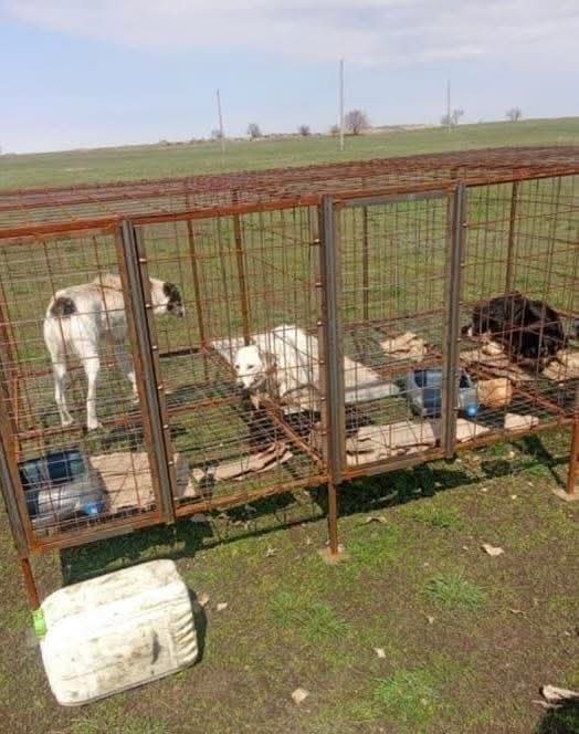 Yarmarka_Dobroty tweet media