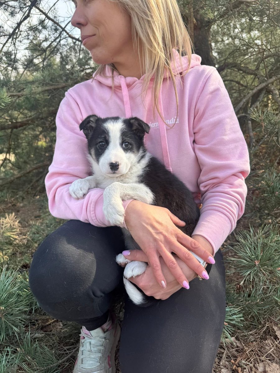 Mal 🇵🇱 ✡️ 🇮🇱 tweet media