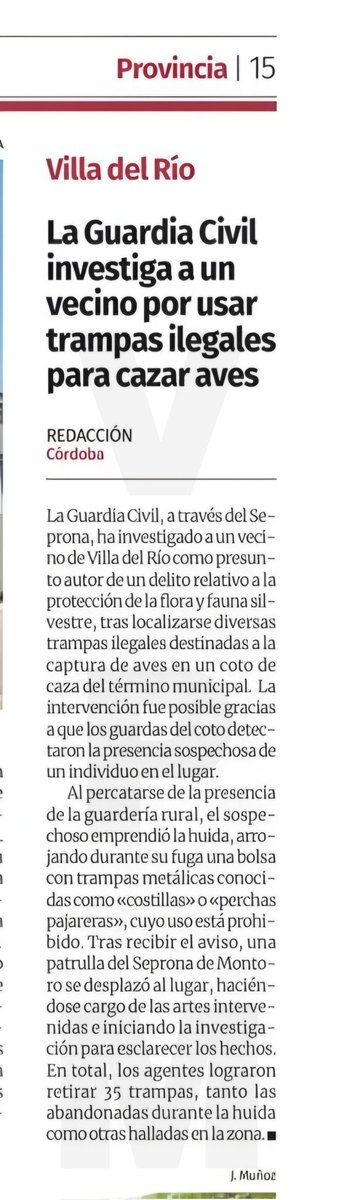 🇪🇸🐗🦌🐂🇪🇸 tweet media