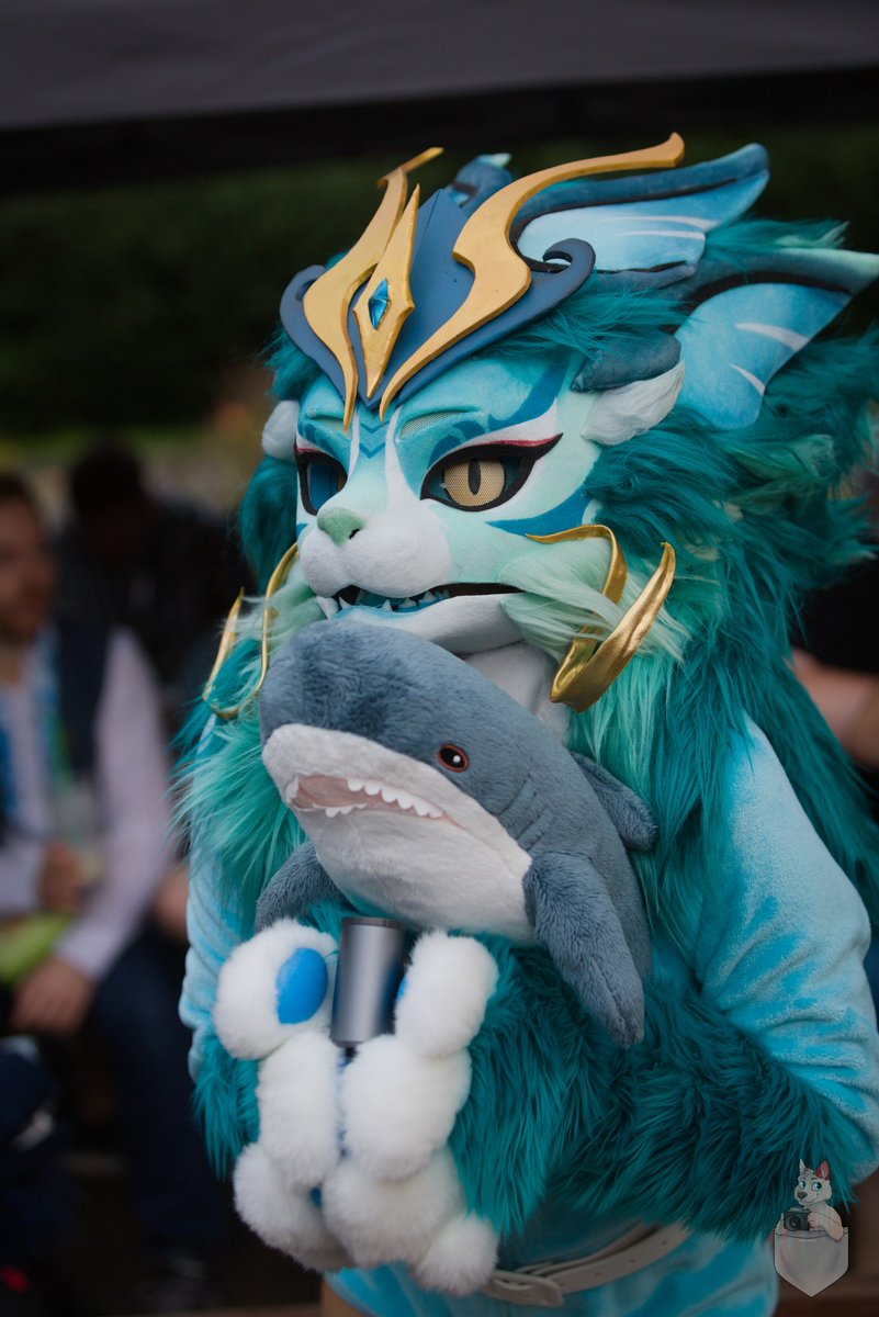 Lycandraa's tweet photo. Soo cute just look at the way she is holding the shark plush 💙🌱
Picture by: @waldivomberg
#fursuit #suanni https://t.co/hUYfSwH3hr