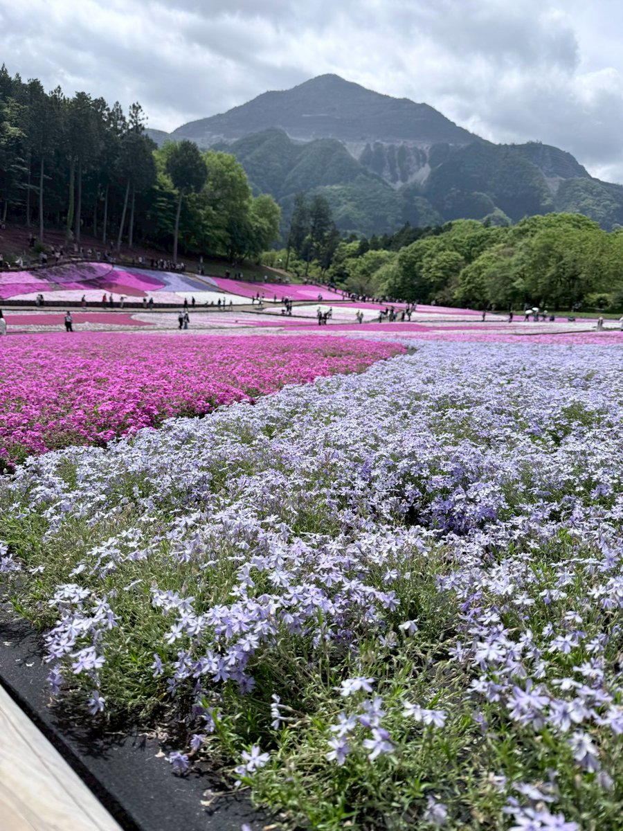 KT@統一パってすてきやんch tweet media