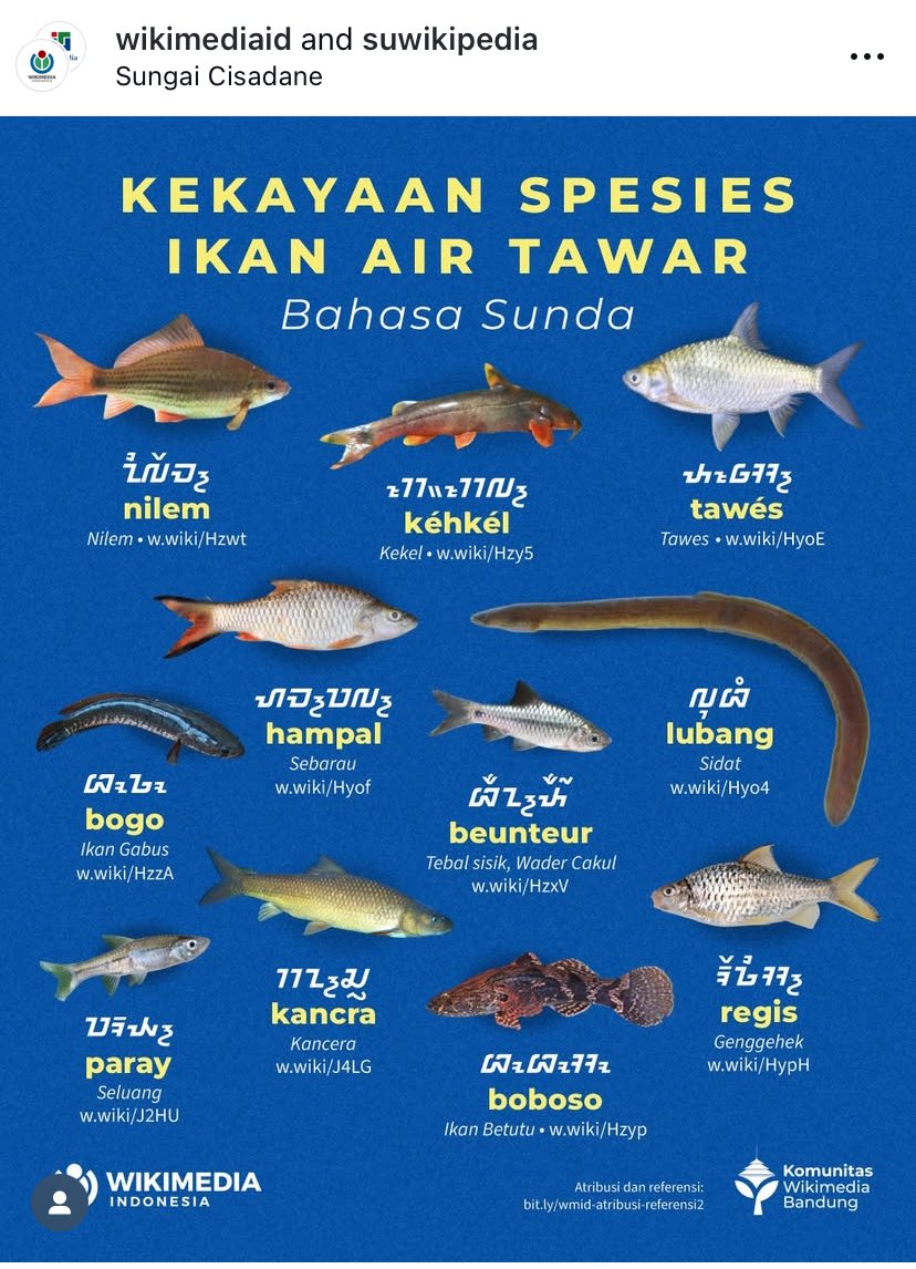 ⠁⠝⠑ tweet media