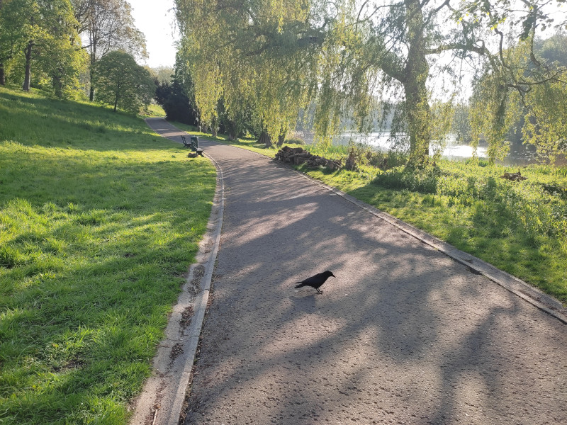 neocyclopi's tweet image. Sunday Morning @The_Life_Bomb🌱 Walk #M2E🚶🏃
⚡️45 Energies in 1h08 ⏱️
🪙 Daily Earnings: 513.62 $CATKN for Now
✅ Guardian Bonus Enabled
✅ Weekly Challenge: 50km Already Achieved
#EarthWeek2026 🌍 #FitTech
