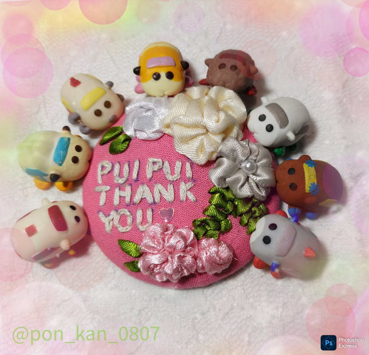 Coо(くぅ)✽モルカーボール拾いました tweet media