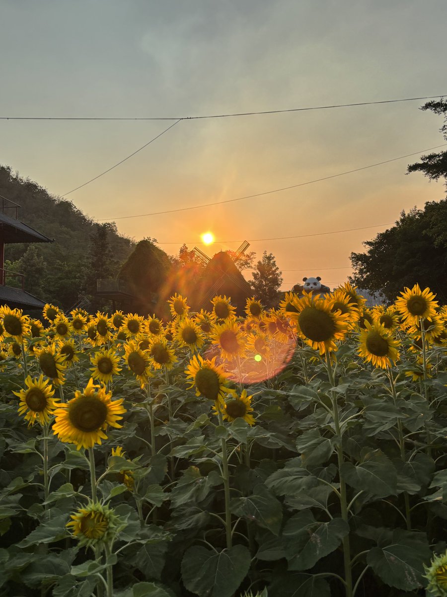 Phurinut 14 tweet media