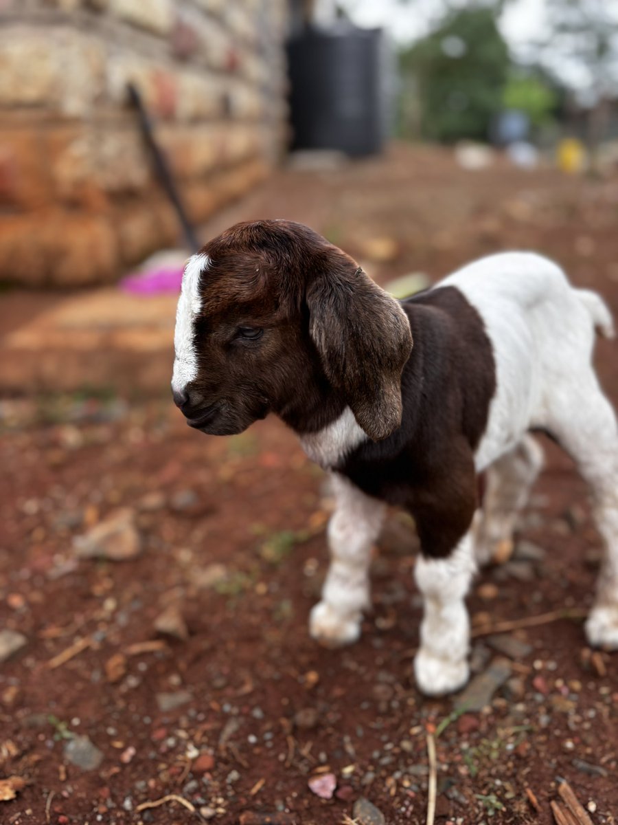 🍁RASTA MAN™🍁 tweet media