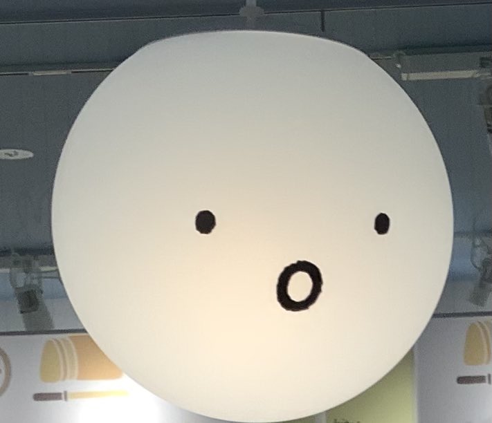 バードバニー(BB) tweet media