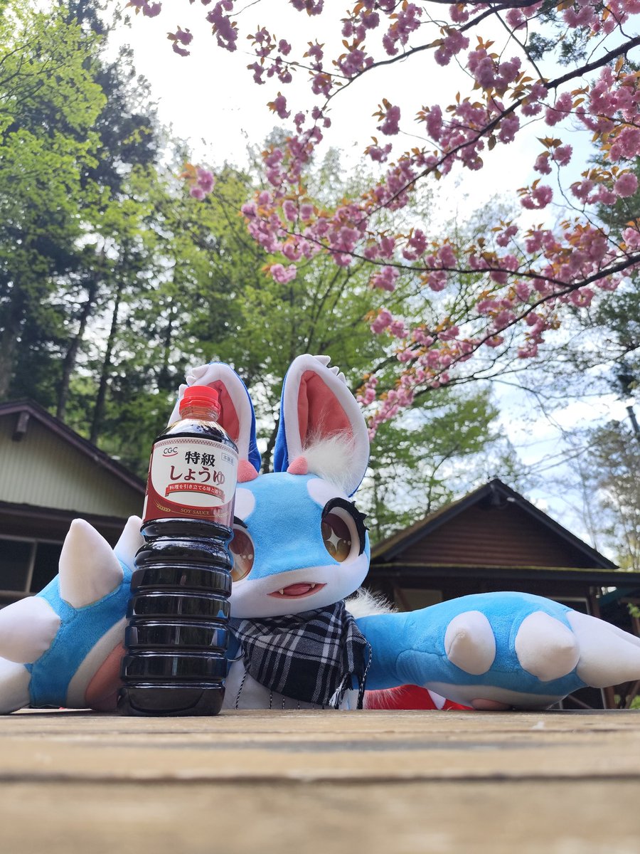 この醤油はサービスだから、まず飲んで落ち着いて欲しい。