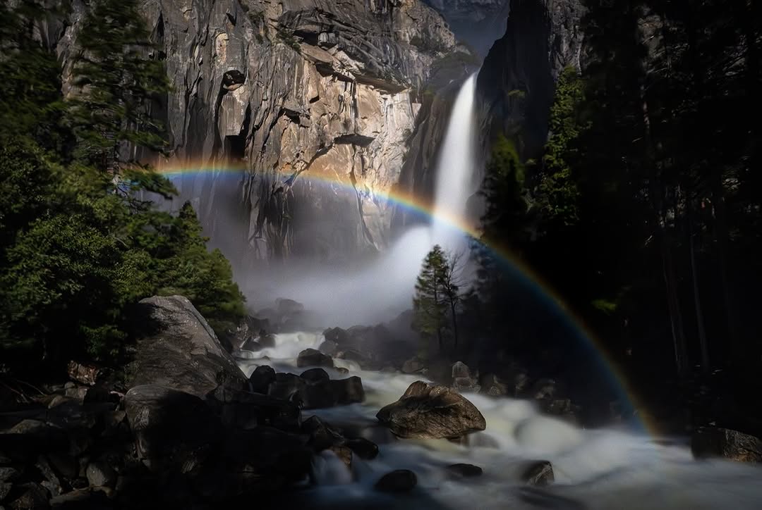 𝘄𝗮𝗻𝗱𝗲𝗿𝘁𝗿𝗮𝘃𝗲𝗹𝘀 tweet media