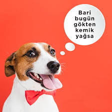 Ʞ𝐮𝐥𝐭𝐫𝐚𝐬K tweet media