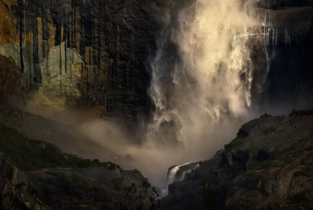 𝘄𝗮𝗻𝗱𝗲𝗿𝘁𝗿𝗮𝘃𝗲𝗹𝘀 tweet media