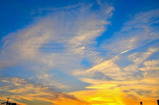 口なし口 tweet media