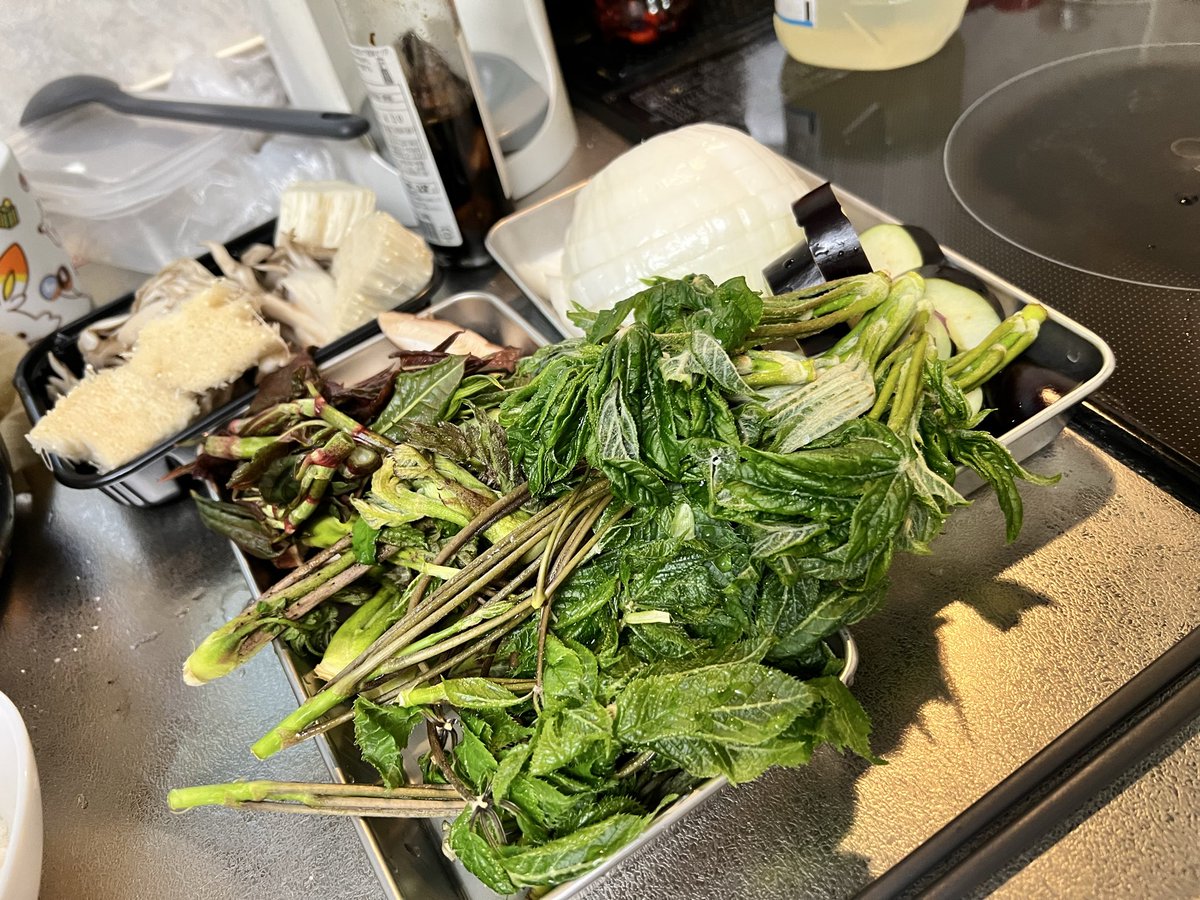 あげは tweet media