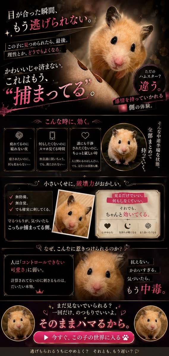 まるとむぎの日常🐹 tweet media