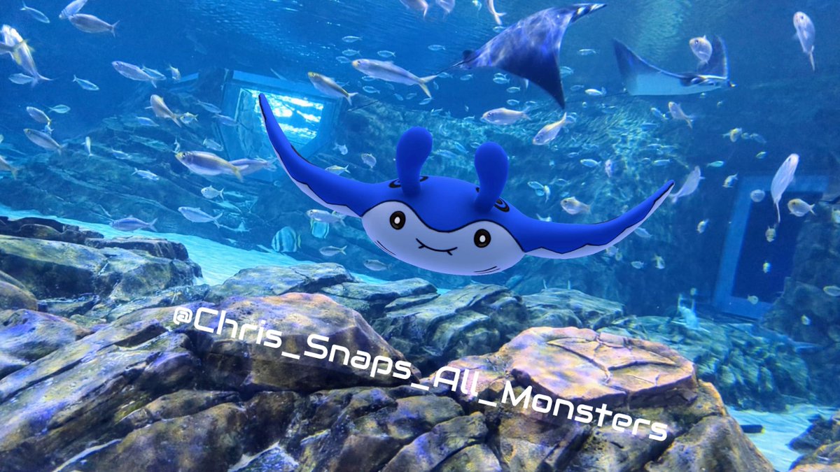 Chris Joseph tweet media