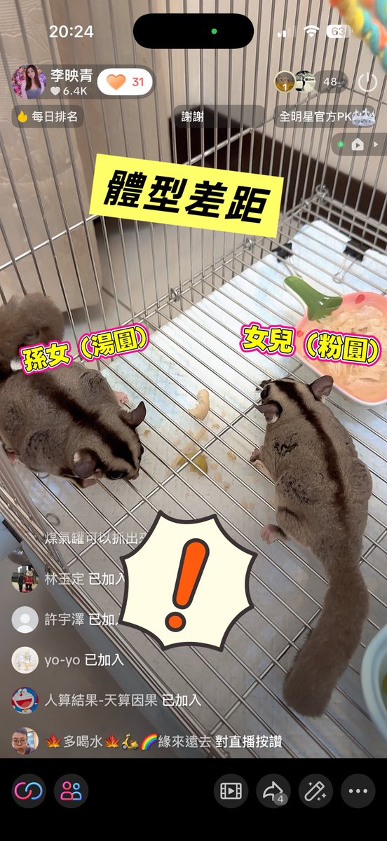 yingchinglee714's tweet photo. 湯圓是否該減肥了🤣

#蜜鼯三寶媽♥️ https://t.co/HAkfKMFnwO