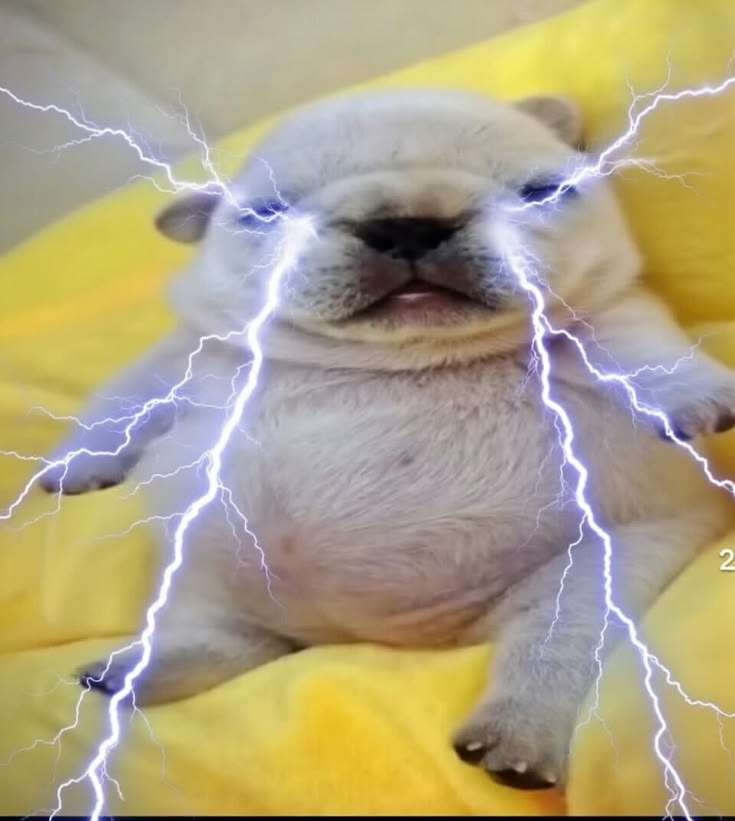 ᅟ *̠ ᅟ ┉ ᅟ A͟𝙱𝙾vᵉᅠ✱ᅠ┈ ᅠ𝕭e𝙻✱𝗪ᅠᅠᅠ𐨹 tweet media