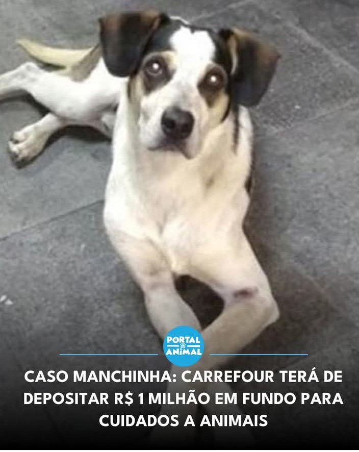 Manchinha, também, foi asssassinada.😔❣️😔❣️