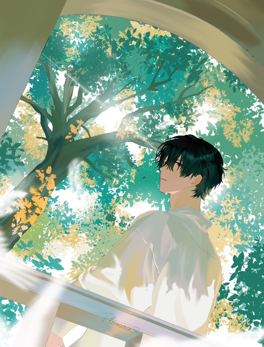 plumeria tweet media