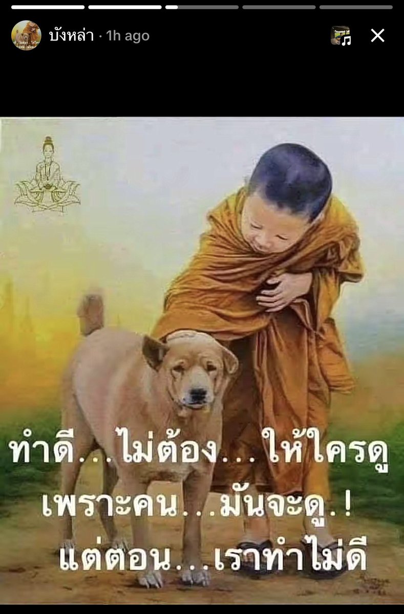 ล่าสุดแกถึงกับเปลี่ยนโปรไฟล์ 🥲🥲 ปล่อยแกไปเถอะ แกก็คนธรรมดา หาเช้ากินค่ำ จะอะไรกับเขานักหนา ปัญหาบ้านเมืองเยอะแยะ มาเอาเป็นเอาตายกับใบหน้าคนธรรมดาคนหนึ่ง 🥲