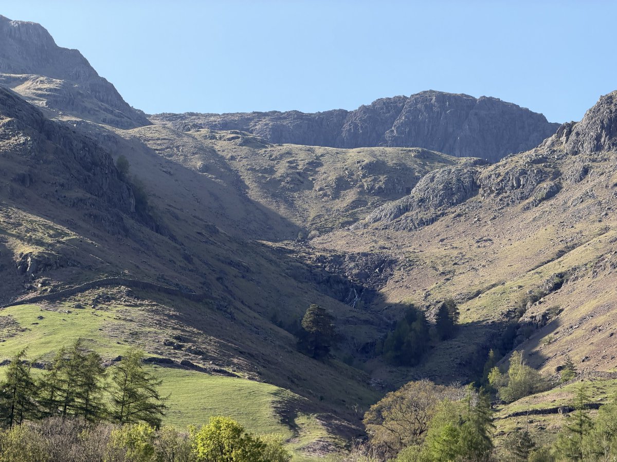 rly cool girl tweet media