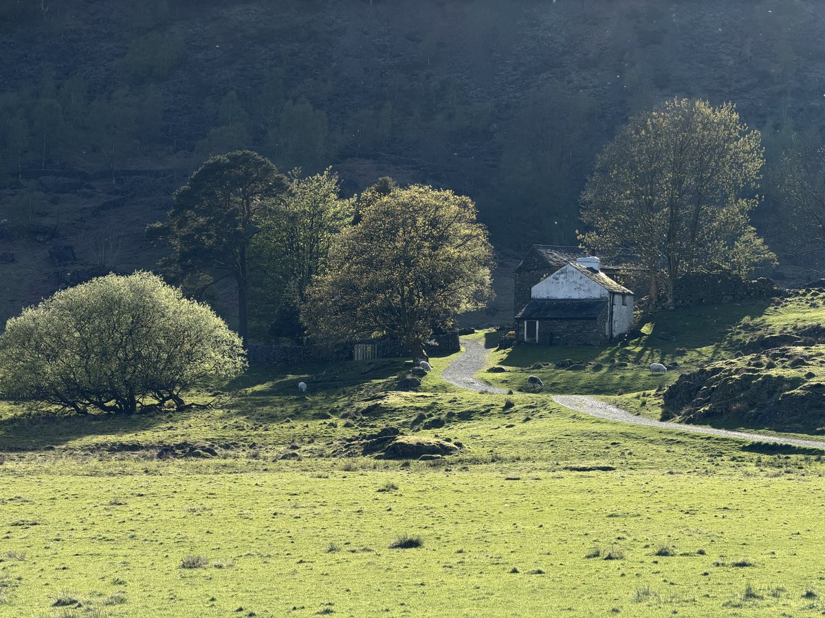 rly cool girl tweet media