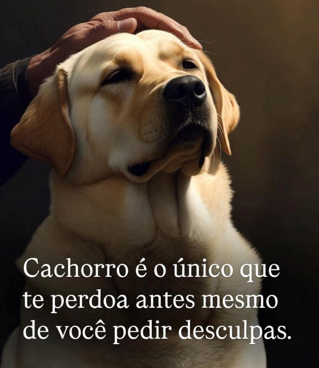 Bom dia e excelente domingo para todos 👍🙏🙏