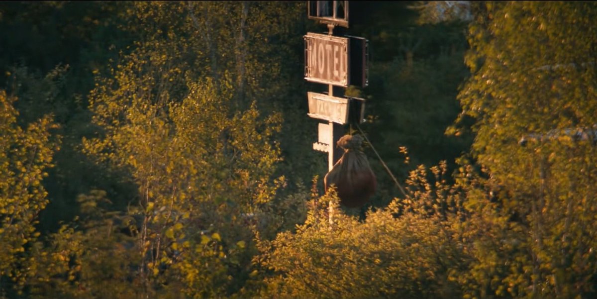 101%Scouser tweet media