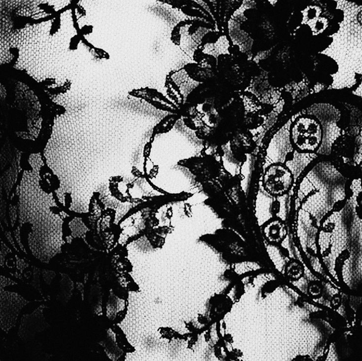 ༻Irma༺🪻 tweet media