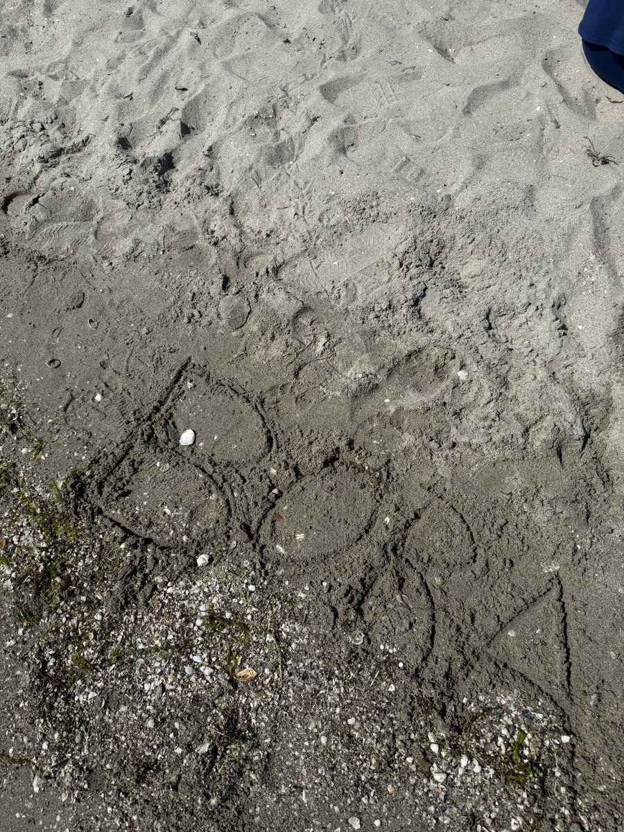 borababa tweet media