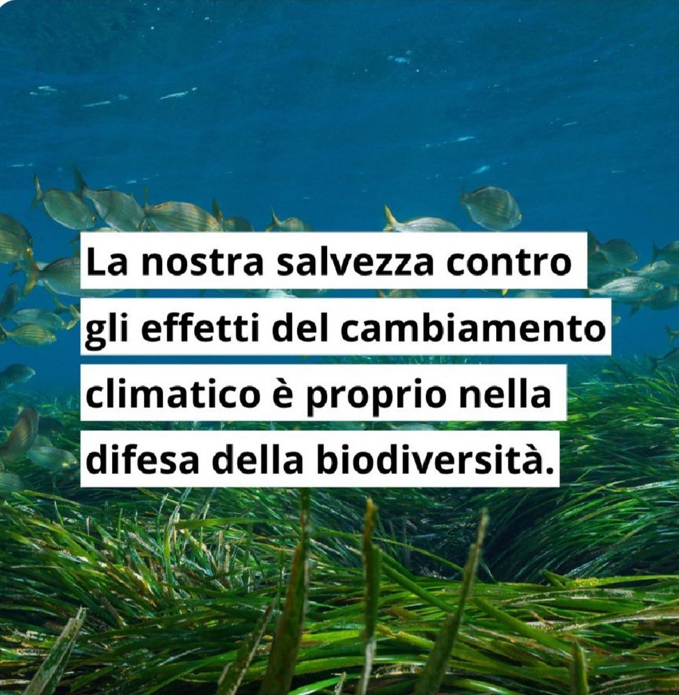 Riccard13371991's tweet image. Un suolo sano trattiene molti più gas serra riducendo il clima generale sul nostro pianeta.
Tuteliamo il suono e rigeneriamo il nostro Pianeta.
#SaveSoil 
#ConsciousPlanet