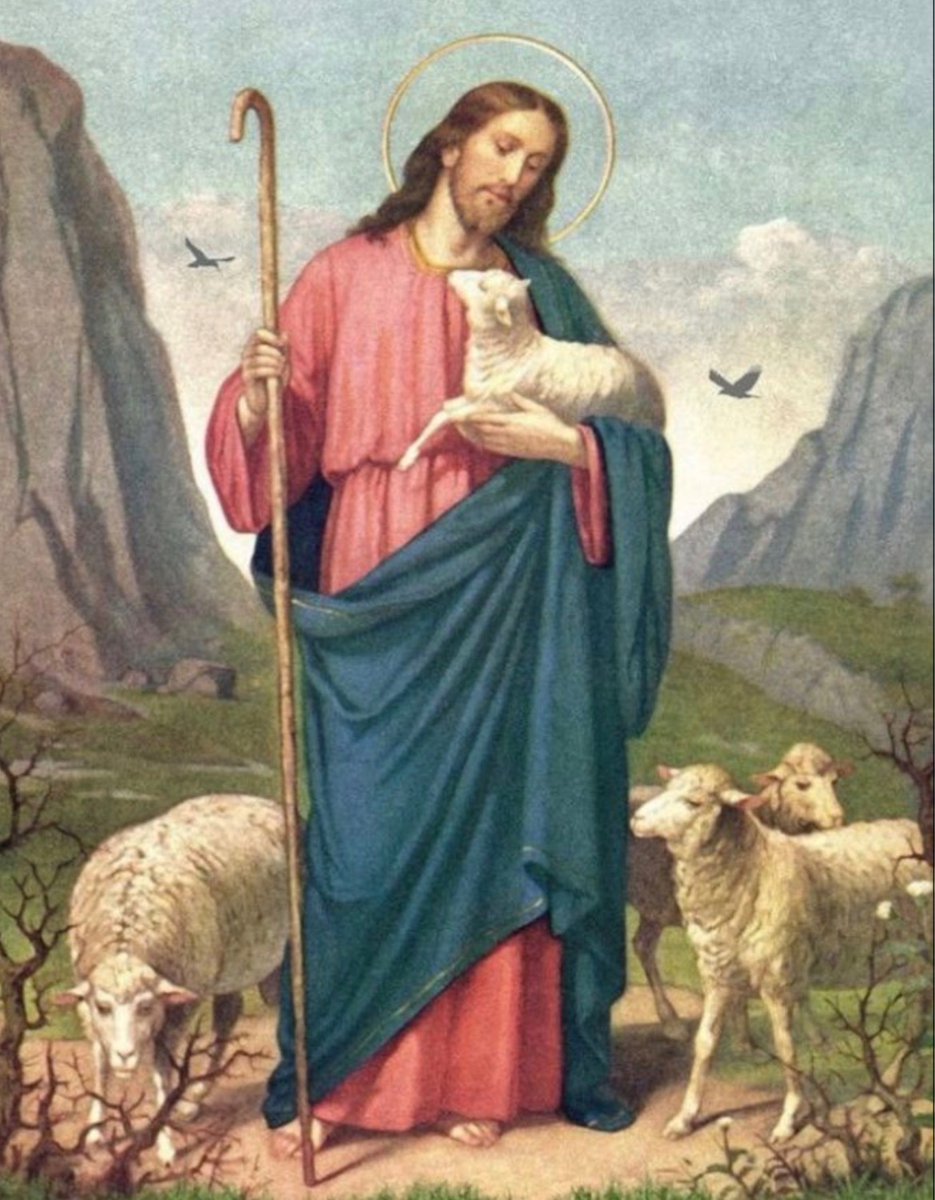 Catholic Life tweet media