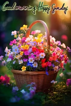 JenniferRice66's tweet image. Happy Sunday! You are beautiful! 🌞  

#happysunday #basketofflowers #beautiful #positivelysunshine