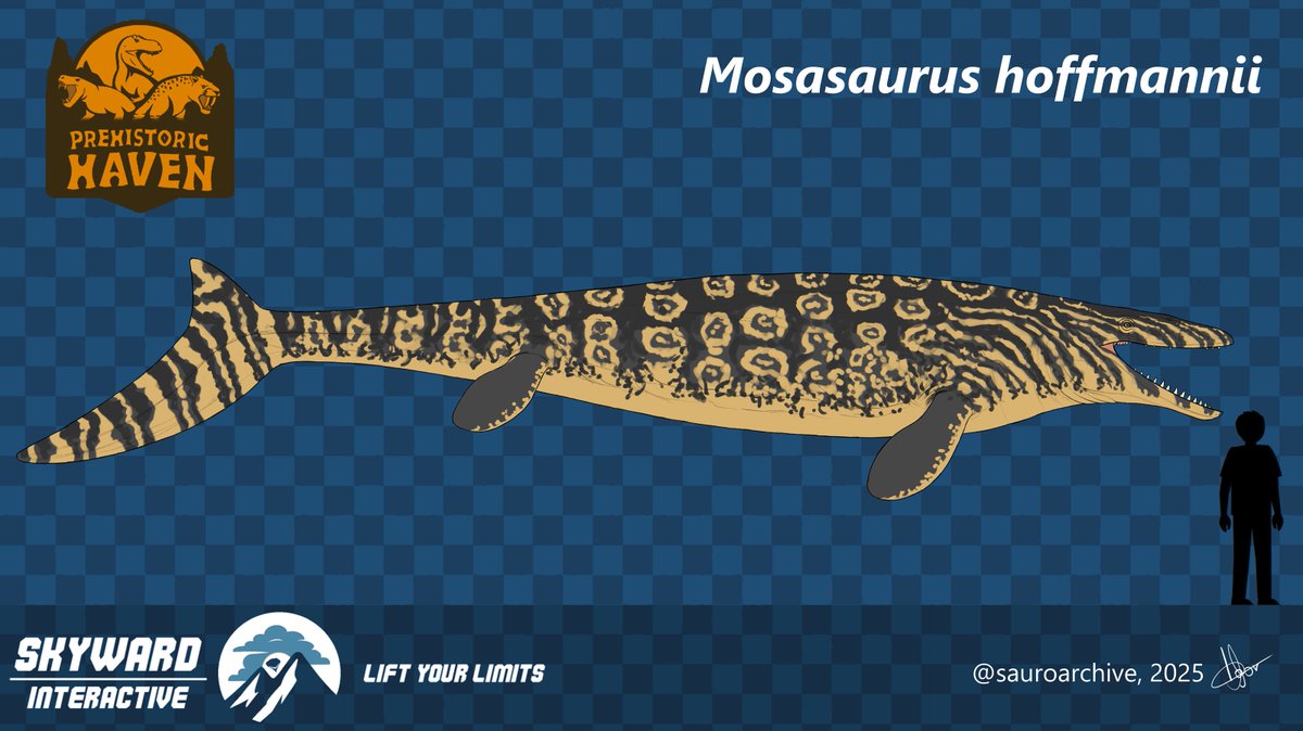 SWI_Off's tweet photo. Mosasaurus https://t.co/qan6ibGUth